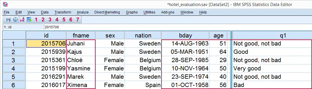 SPSS Data Preparation 3 Inspect Variable Types