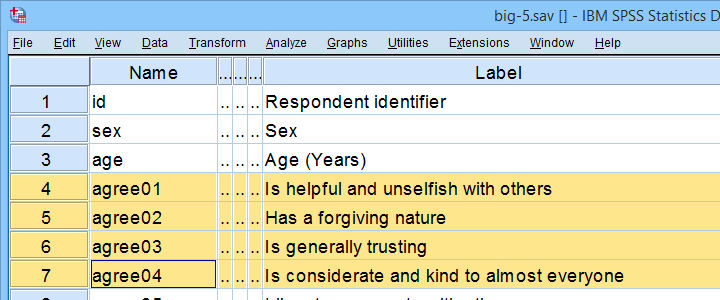 Cronbachs Alpha In SPSS Example Data File