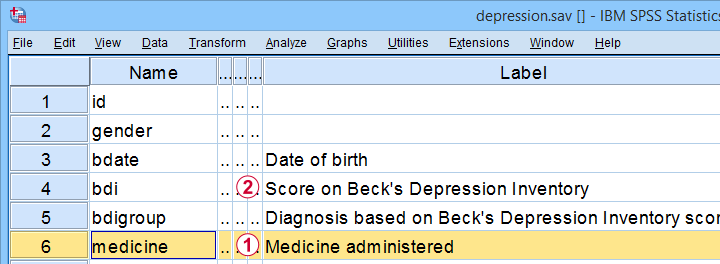 Depression Sav Variable View