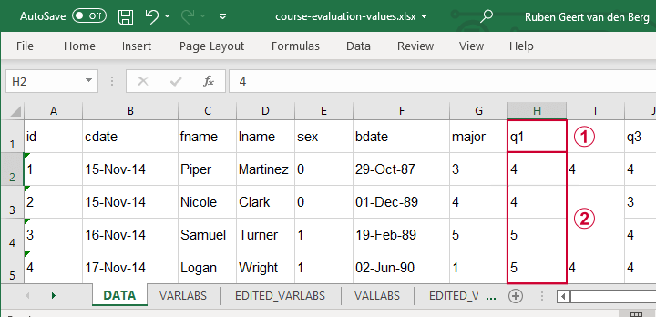 Excel File With Values Example