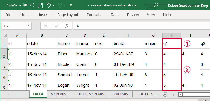 Open Excel File With Pandas Python