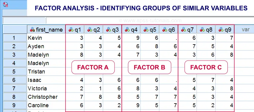 Factor Analysis Data View