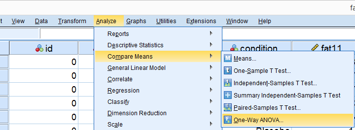 Levene's Test from SPSS One Way ANOVA Menu