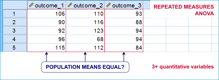 Repeated Measures ANOVA Data View