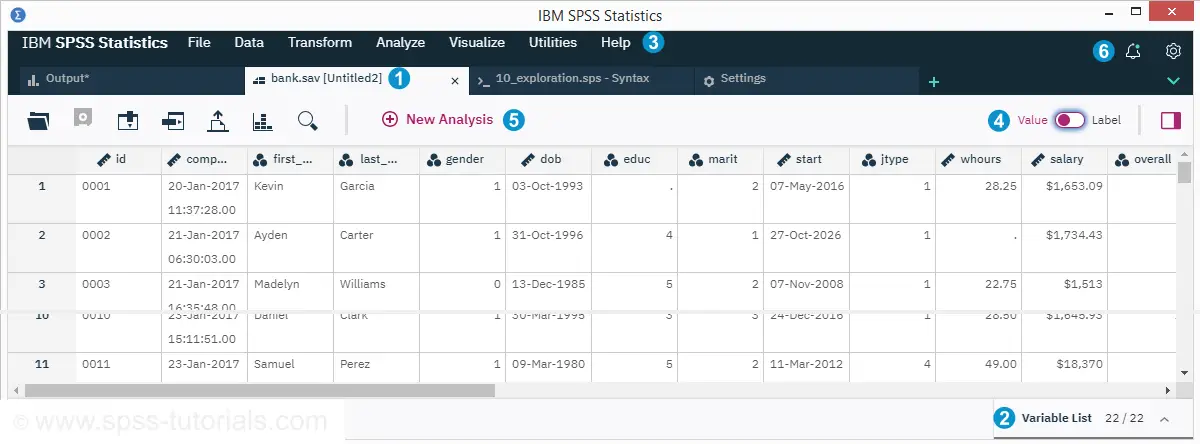 SPSS 26 Data View