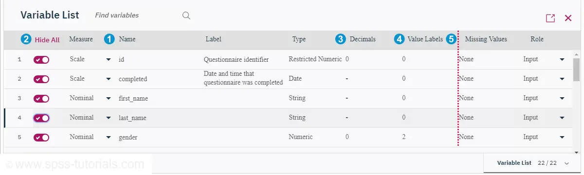 SPSS 26 Variable View