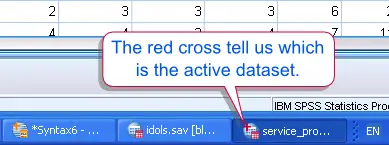 SPSS Active Dataset