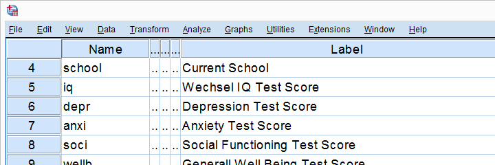 SPSS Adolescents Data Variable View