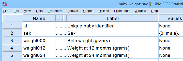 SPSS Baby Weights Data Variable View