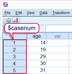 SPSS $casenum