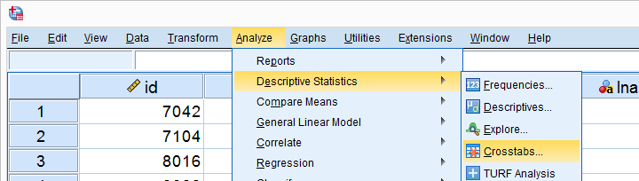 SPSS Chi Square Independence Test Menu