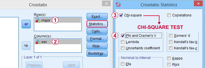 Chi Square Spss Risedarelo