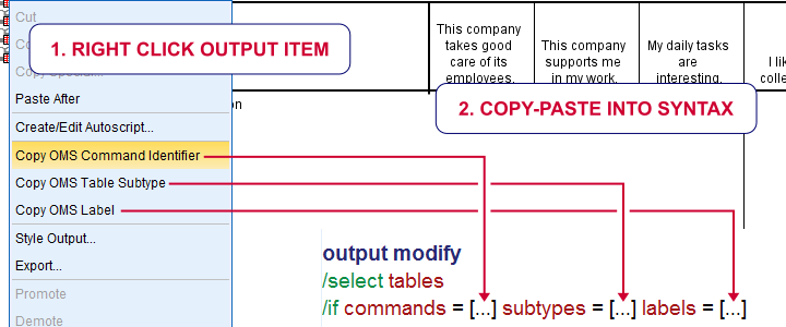 SPSS Copy Oms Command Identifier