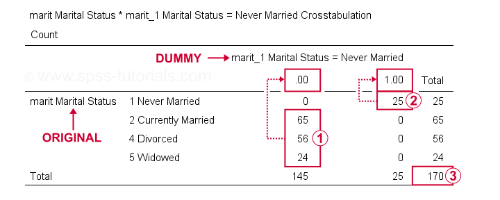 SPSS Criar Variáveis Dummy de Verificação de Resultados 1