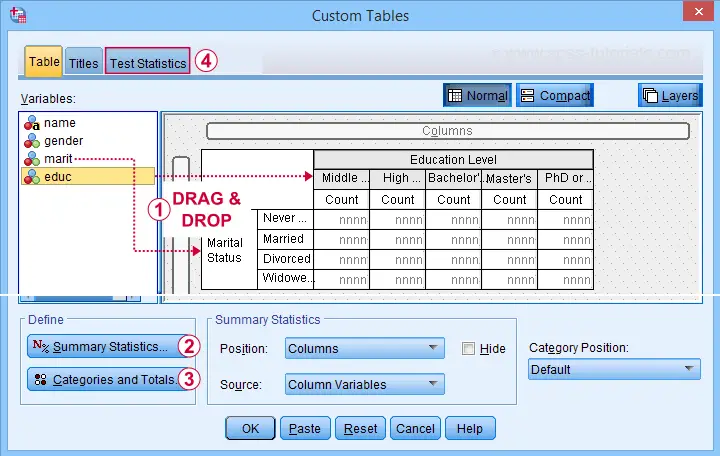 SPSS Custom Tables Main Dialog Example