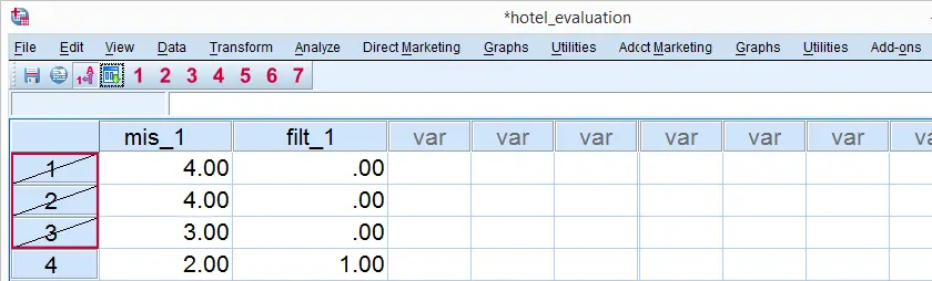 SPSS Filtered Cases in Data View