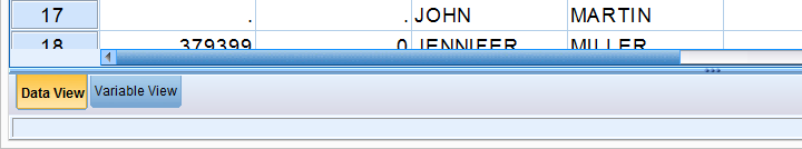 SPSS Data View and Variable View Tabs