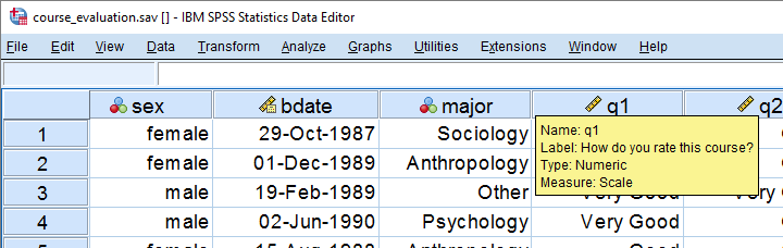 SPSS Data View Course Evaluation 720 336