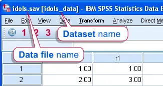 SPSS Dataset versus Data File