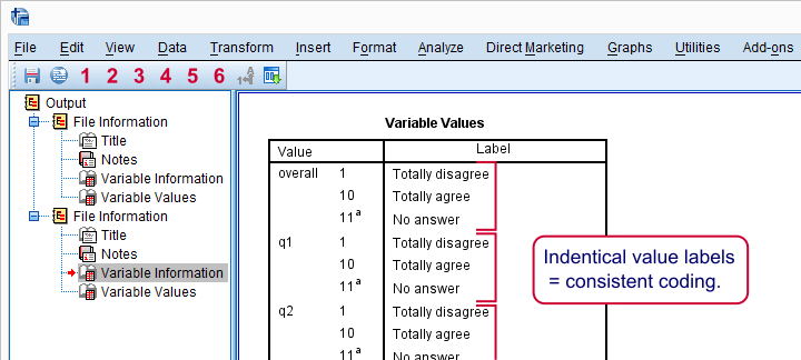SPSS Display Dictionary Consistent Coding
