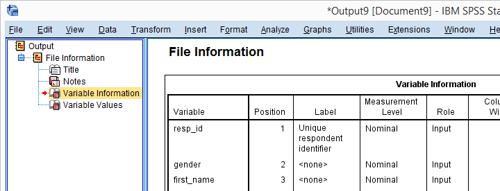 SPSS dictionary information as reported by running the DISPLAY DICTIONARY command.