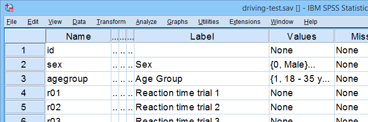 SPSS Driving Test Example Data File