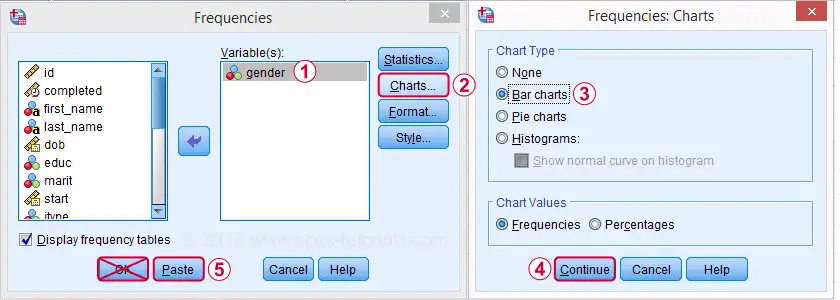 SPSS Frequencies - Main Dialog
