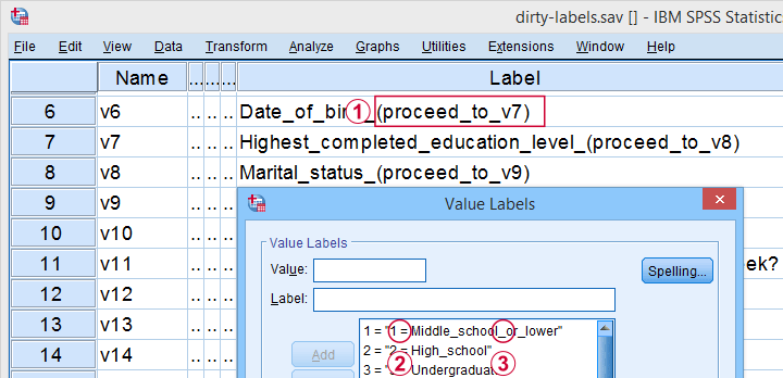 SPSS Label Cleaning Tool Variable View