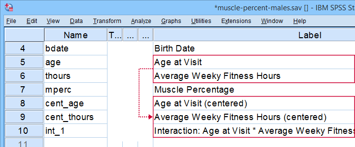 SPSS Mean Center Predictors Tool Variable View