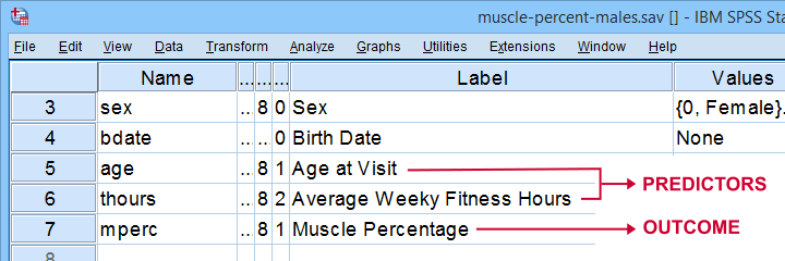 SPSS Mean Centering Tool Example Data