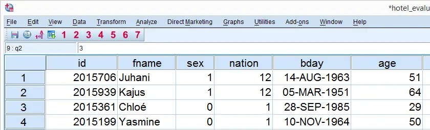 SPSS Merge Categories of a Categorical Variable Data View