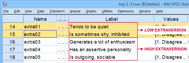 Beispiel für negativ codierte Elemente in SPSS in der Variablenansicht