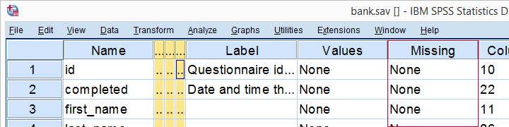 No User Missing Values Set in Variable View