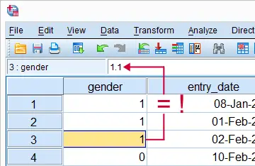 SPSS Numeric Variables Hidden Decimals in Data Editor