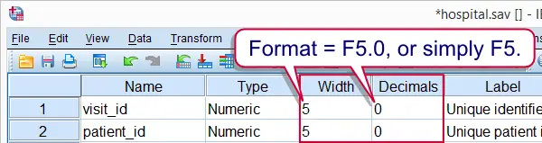 SPSS Numeric Variable Format under Variable View