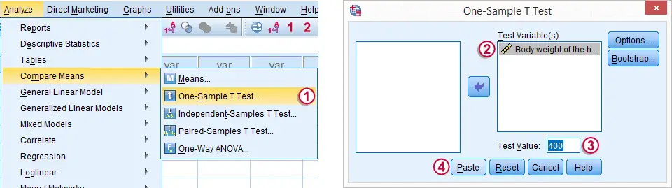 SPSS One-Sample T-Test Dialog