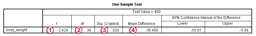 SPSS One Sample T-Test Output