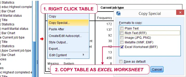 SPSS Output Table - Copy Special To Excel