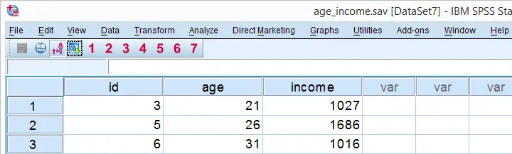 SPSS Age Income Data File