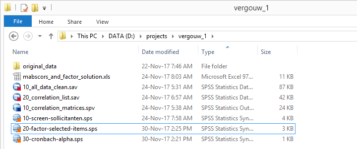 Screenshot of well organized SPSS project folder