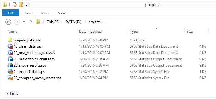 SPSS Project Folder