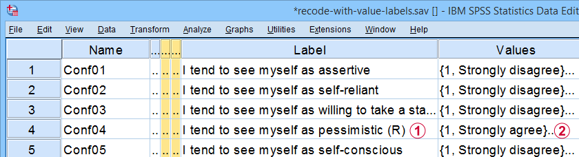 SPSS Recode With Value Labels Result 1