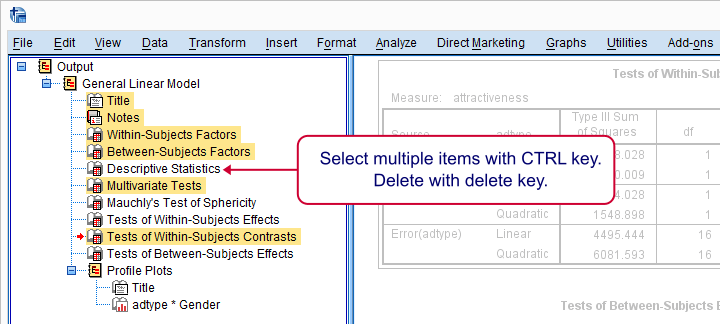 SPSS Repeated Measures ANOVA Delete Output