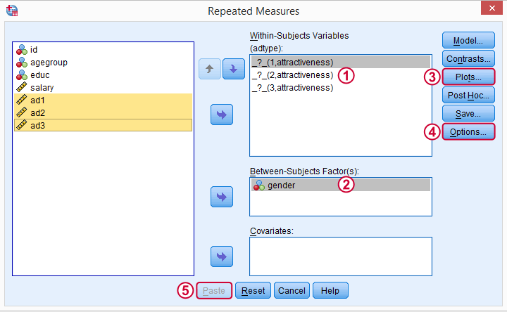 SPSS Repeated Measures ANOVA Main Dialog