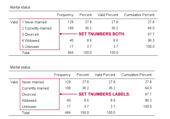 SPSS Set Tnumbers Example