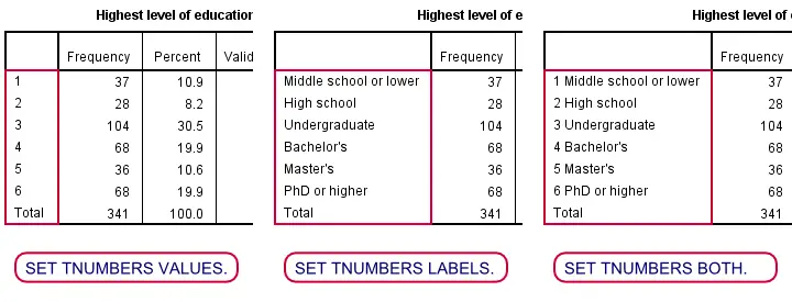 SPSS SET TNUMBERS Examples