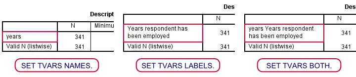 SPSS SET TVARS Examples