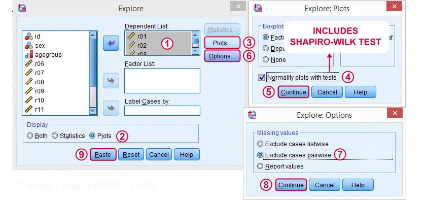 SPSS Shapiro Wilk Test Explore Dialog