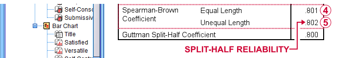 SPSS Spearman Brown Coefficient Unequal Length