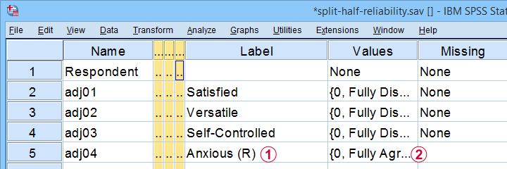 SPSS Split Half Reliability Test Data